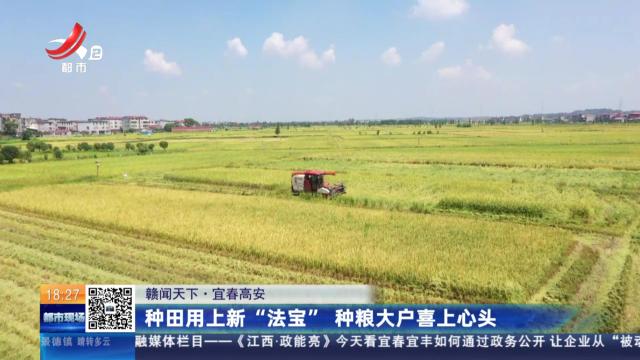 【赣闻天下】宜春高安：种田用上新“法宝” 种粮大户喜上心头