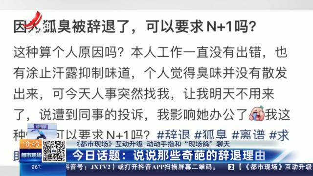 【《都市现场》互动升级 动动手指和“现场鸽”聊天】今日话题：说说那些奇葩的辞退理由