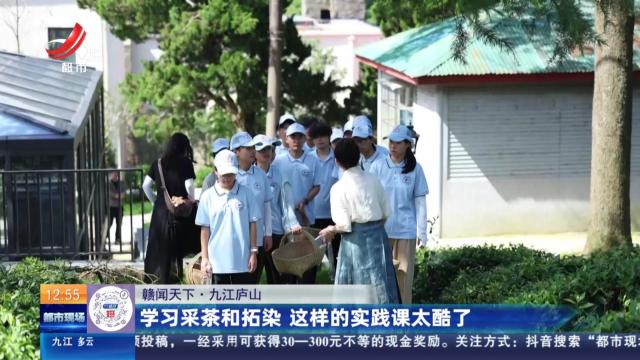 【赣闻天下】九江庐山：学习采茶和拓染 这样的实践课太酷了