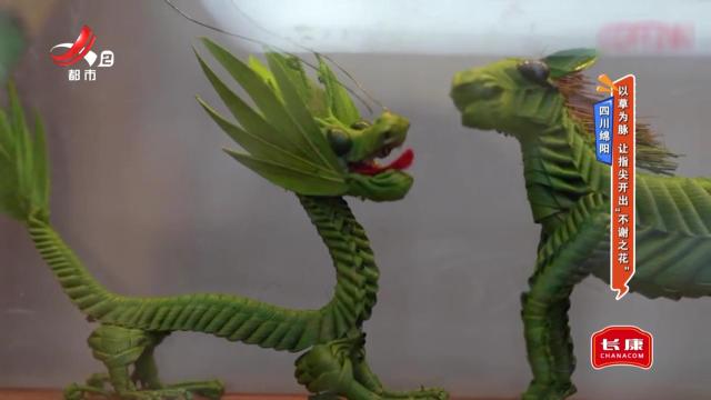 四川绵阳——以草为脉 让指尖开出“不谢之花”