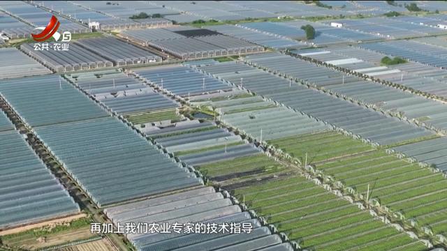 江西有好物20250702