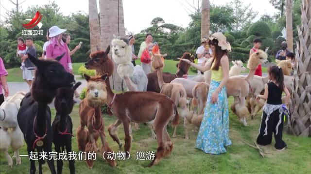 社会传真20250715 清凉经济“热”起来