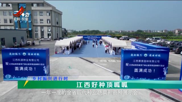 稻花香里20250709 乡村振兴进行时——江西好种顶呱呱