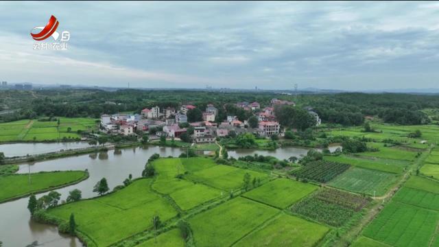 石玉莲：勇担先锋 带领乡亲加油干