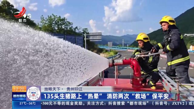 【放眼天下】贵州印江：135头生猪路上“热晕” 消防两次“救场”保平安