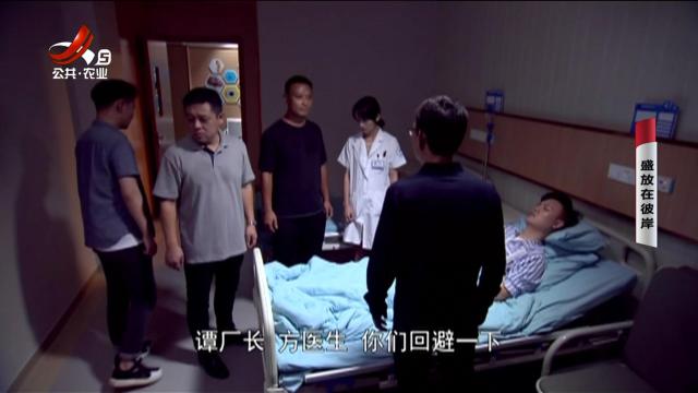 乡村栏目剧场20250710 盛放在彼岸