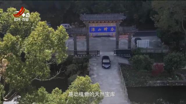 稻花香里20250723 乡村振兴进行时——赣出好蜜：山乌桕的“共富密码”