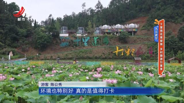 九江武宁：十里荷花竞绽放 乡村旅游引客来