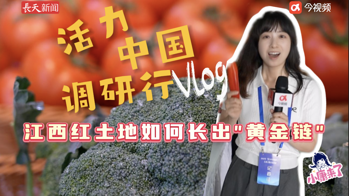 活力中国调研行｜江西红土地如何长出“黄金链”？