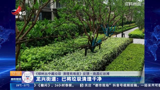 【《矮树丛中藏垃圾 清理有难度》反馈·南昌红谷滩】龙兴街道：已将垃圾清理干净