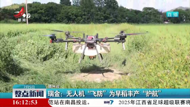瑞金：无人机“飞防” 为早稻丰产“护航”