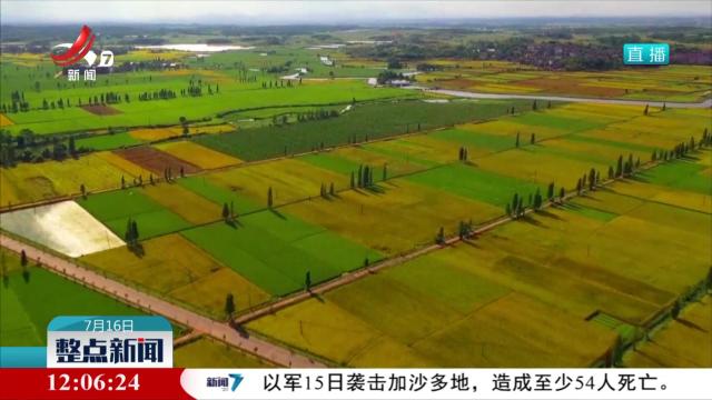 整点新闻20250716 12:00