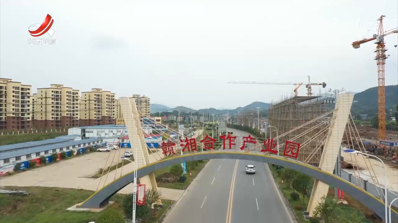 金时裕：破难题护航项目落地 聚链条强壮产业筋骨