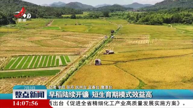 整点新闻20250703 14:00