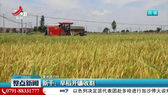 【夏收进行时】新干：早稻开镰收割