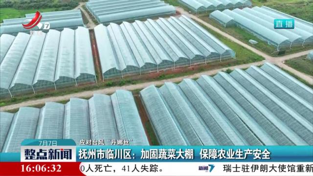 【应对台风“丹娜丝”】抚州市临川区：加固蔬菜大棚 保障农业生产安全