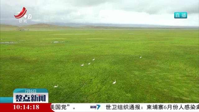 盛夏时节 新疆巴音布鲁克草原生机勃勃
