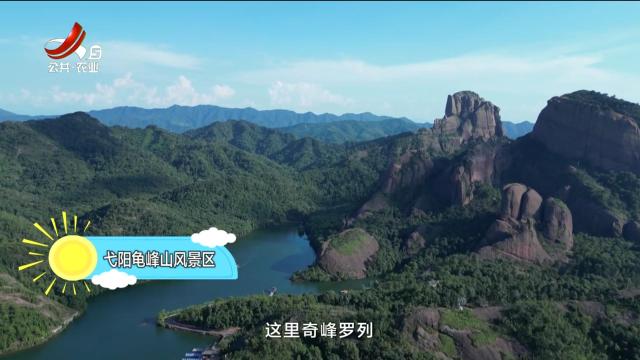 从田园到餐桌20250712