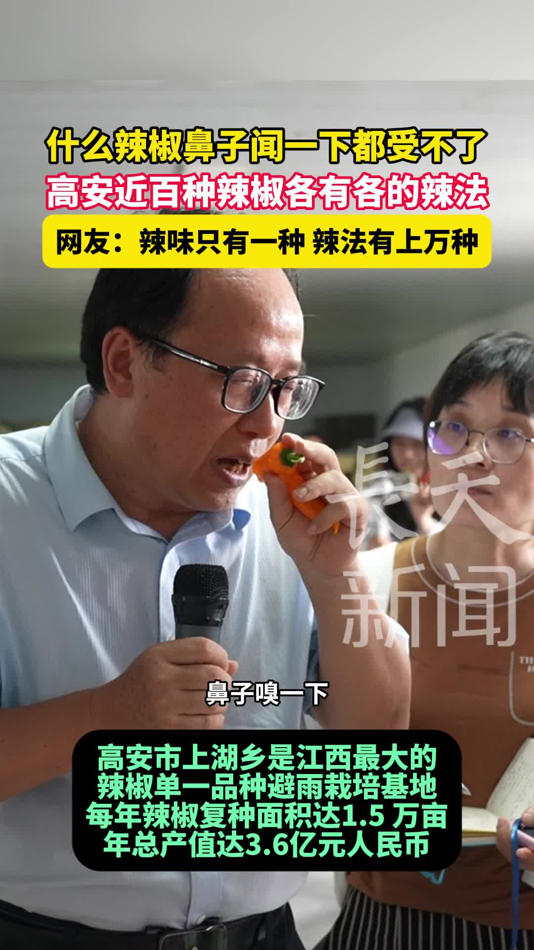 什么辣椒鼻子闻一下都受不了，高安近百种辣椒各有各的辣法