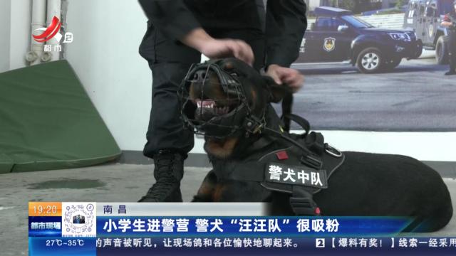 南昌：小学生进警营 警犬“汪汪队”很吸粉