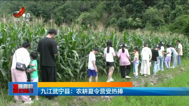 九江武宁县：农耕夏令营受热捧