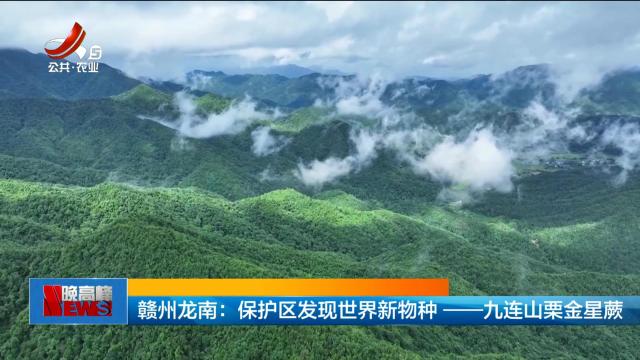 赣州龙南：保护区发现世界新物种——九连山栗金星蕨