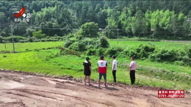 三农头条20250701