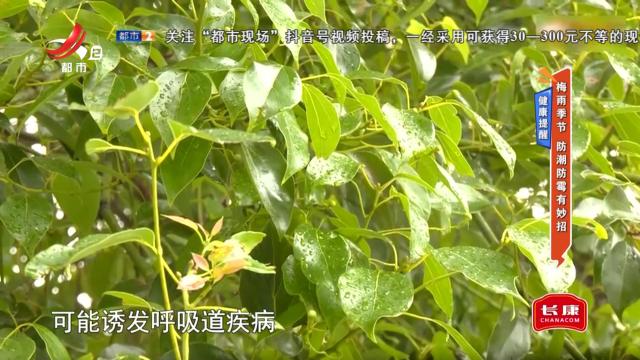 健康提醒——梅雨季节 防潮防霉有妙招