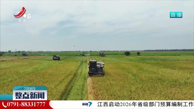 整点新闻20250708 10：00