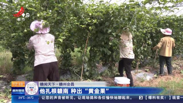 【赣闻天下】赣州会昌：他扎根赣南 种出“黄金果”