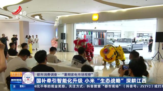 【都市消费调查·“暑期家电市场观察”】国补牵引智能化升级 小米“生态战略”深耕江西