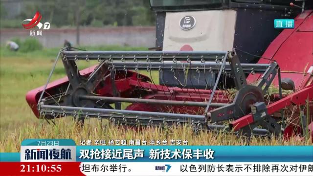 双抢接近尾声 新技术保丰收
