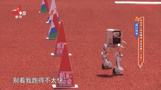 浙江杭州：运动会上样样精通 这些机器人“太会了”