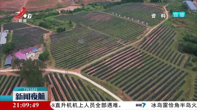 新闻夜航20250716