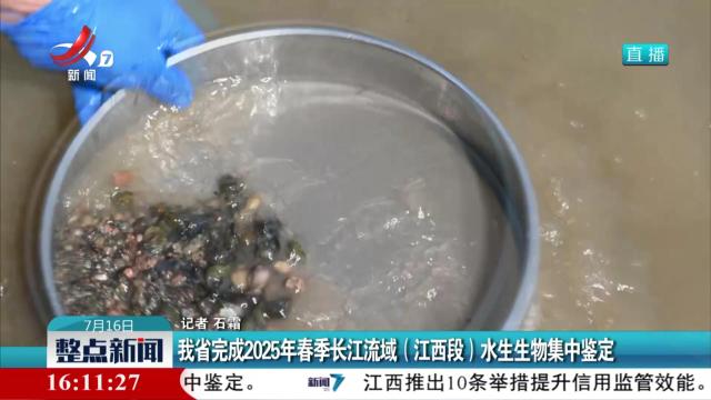 我省完成2025年春季长江流域（江西段）水生生物集中鉴定