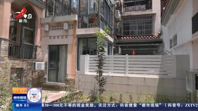 【直播连线·赣问·我为群众办实事·南昌县】“岩”出必行：小区树木滋生白蚁 飞到居民家里影响生活