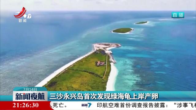 三沙永兴岛首次发现绿海龟上岸产卵