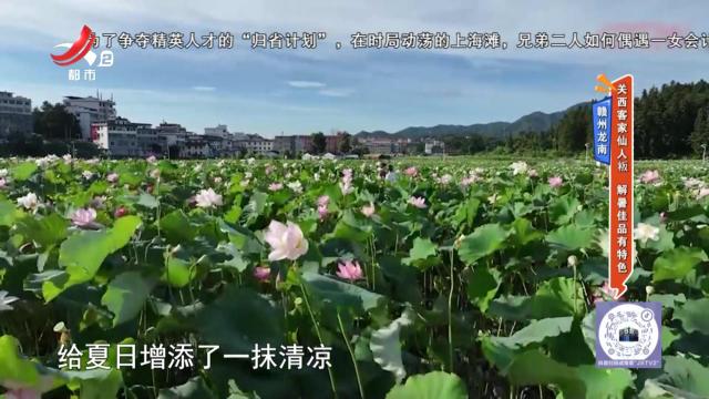 赣州龙南——关西客家仙人粄 解暑佳品有特色
