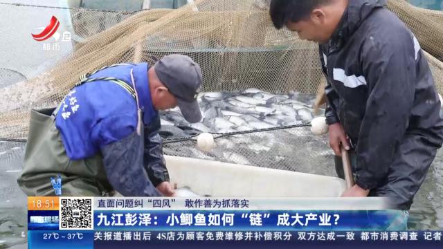 【直面问题纠“四风” 敢作善为抓落实】九江彭泽：小鲫鱼如何“链”成大产业？