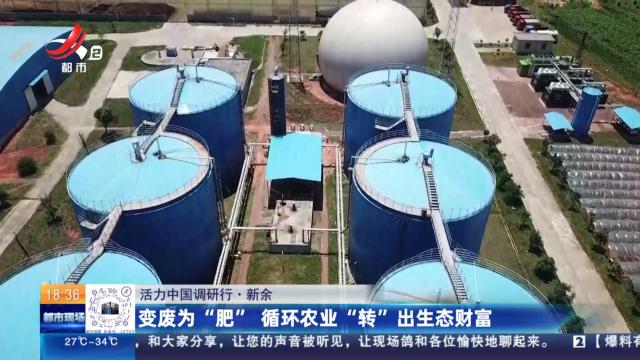 【活力中国调研行】新余：变废为“肥” 循环农业“转”出生态财富