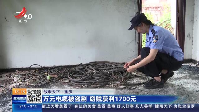 【放眼天下】重庆：万元电缆被盗割 窃贼获利1700元