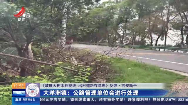 【《坡度大树木挡视线 出村道路存隐患》反馈·吉安新干】大洋洲镇：公路管理单位会进行处理