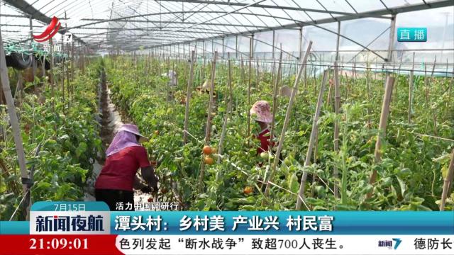【活力中国调研行】潭头村：乡村美 产业兴 村民富