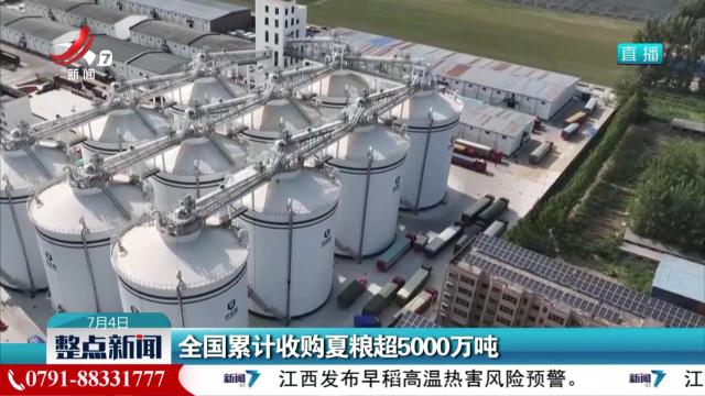 全国累计收购夏粮超5000万吨