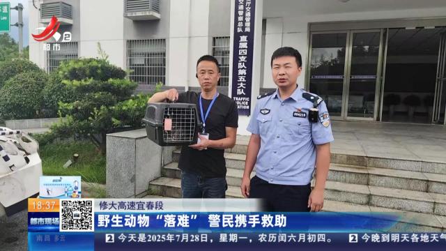 修大高速宜春段：野生动物“落难” 警民携手救助