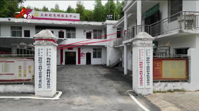 三农头条20250723