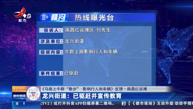 【《马路上牛群“散步” 影响行人和车辆》反馈·南昌红谷滩】龙兴街道：已驱赶并宣传教育
