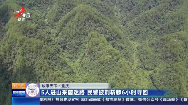 【放眼天下】重庆：5人进山采菌迷路 民警披荆斩棘6小时寻回