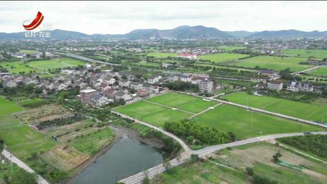 江湖一瓶查家酒——查记米酒重温武侠梦