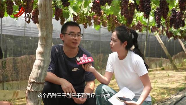 五哥帮忙团20250717